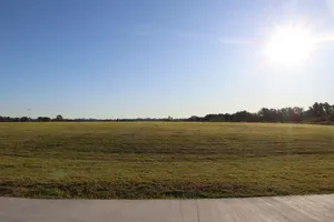 2025-06-21 Bartons Park - IMG_2507_compressed_q50.webp